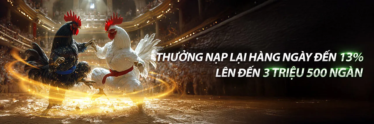 Hình ảnh giới thiệu về ok88, thể hiện sự chuyên nghiệp và uy tín